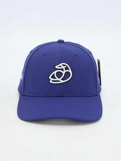 Stronger Together Baseball Cap