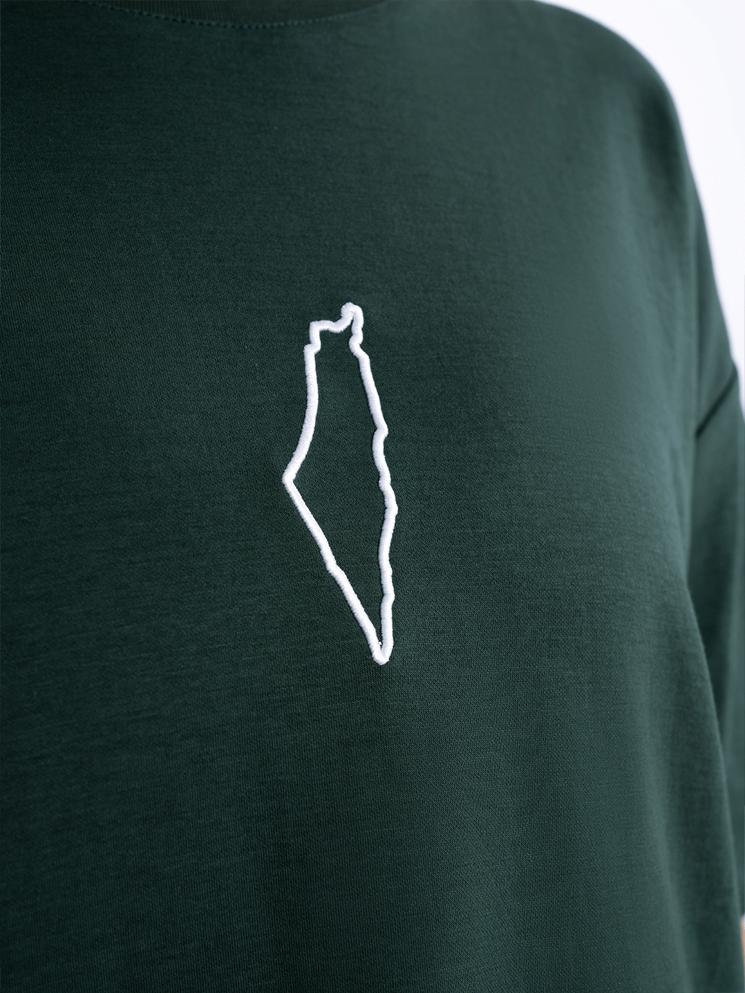 Women Oversized Palestine Tshirt